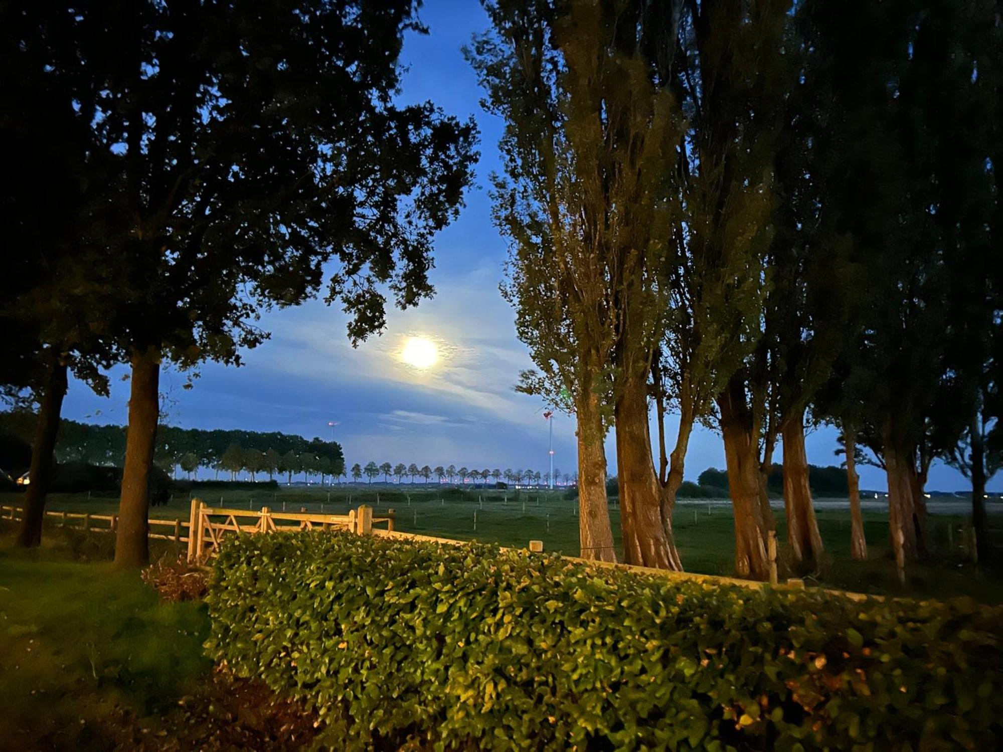 De Cordobahoeve Tweede Exloermond المظهر الخارجي الصورة