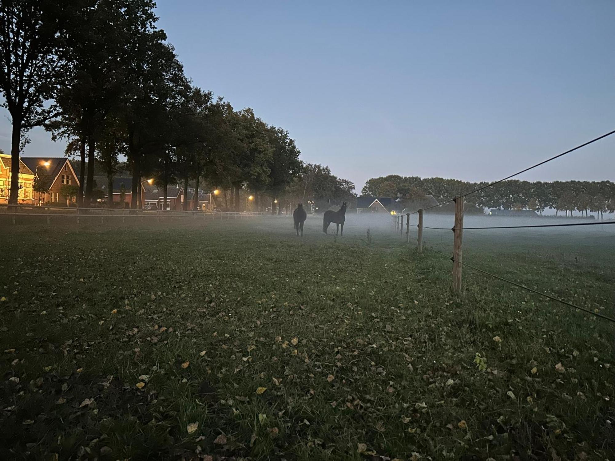 De Cordobahoeve Tweede Exloermond المظهر الخارجي الصورة