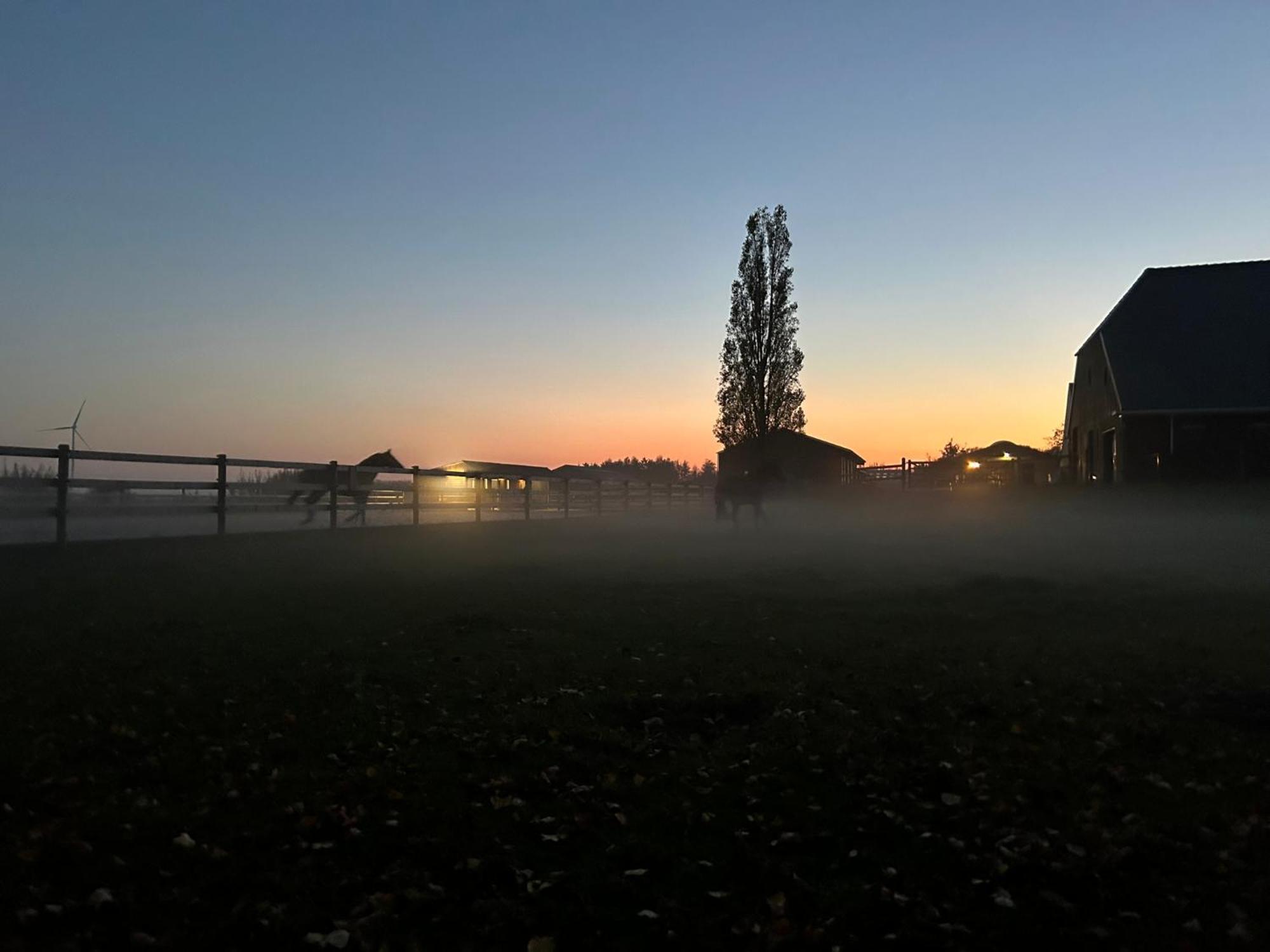 De Cordobahoeve Tweede Exloermond المظهر الخارجي الصورة