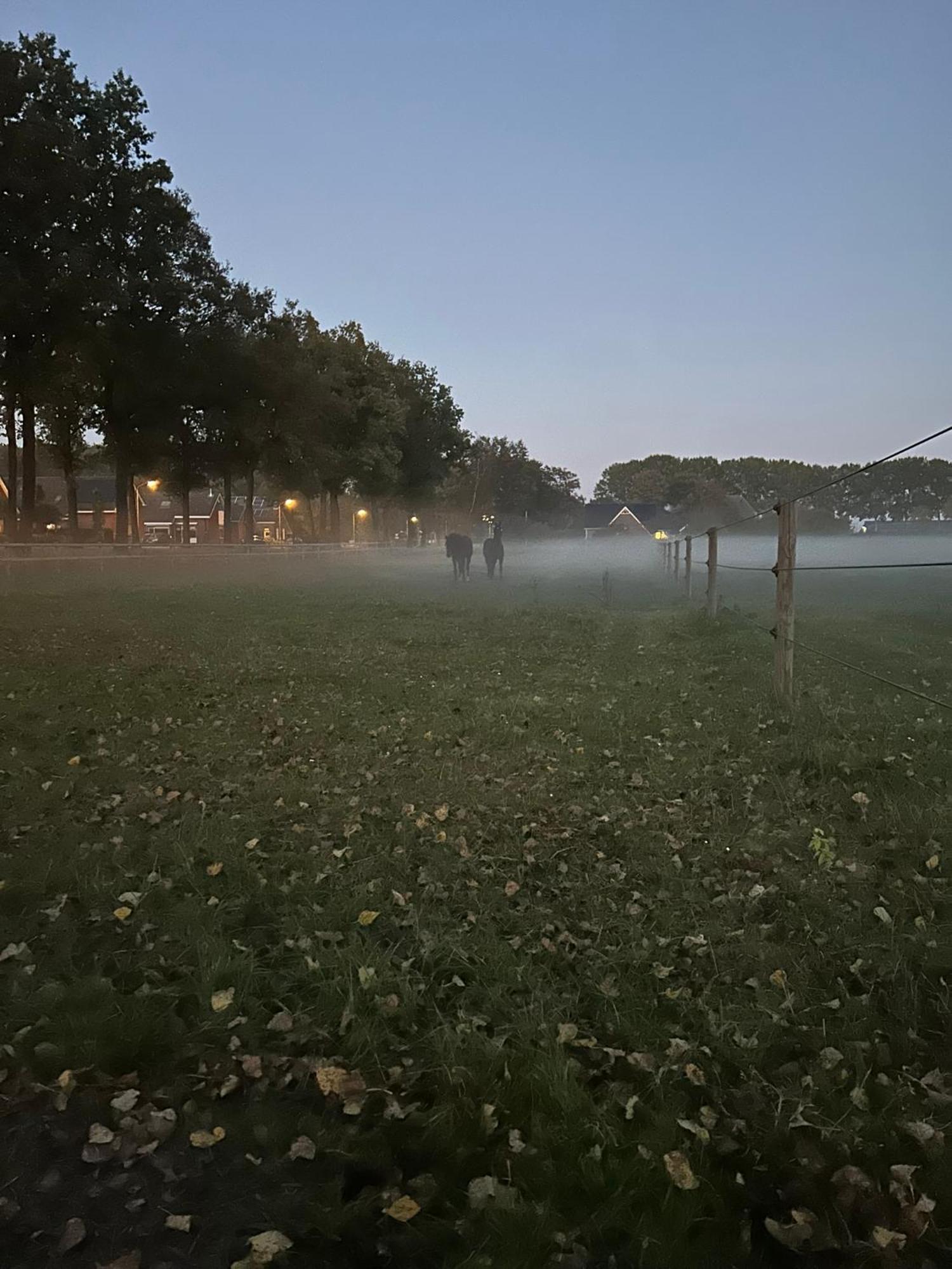 De Cordobahoeve Tweede Exloermond المظهر الخارجي الصورة