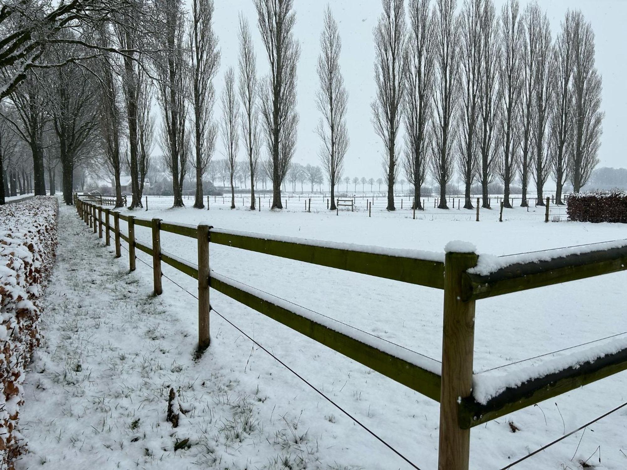 De Cordobahoeve Tweede Exloermond المظهر الخارجي الصورة