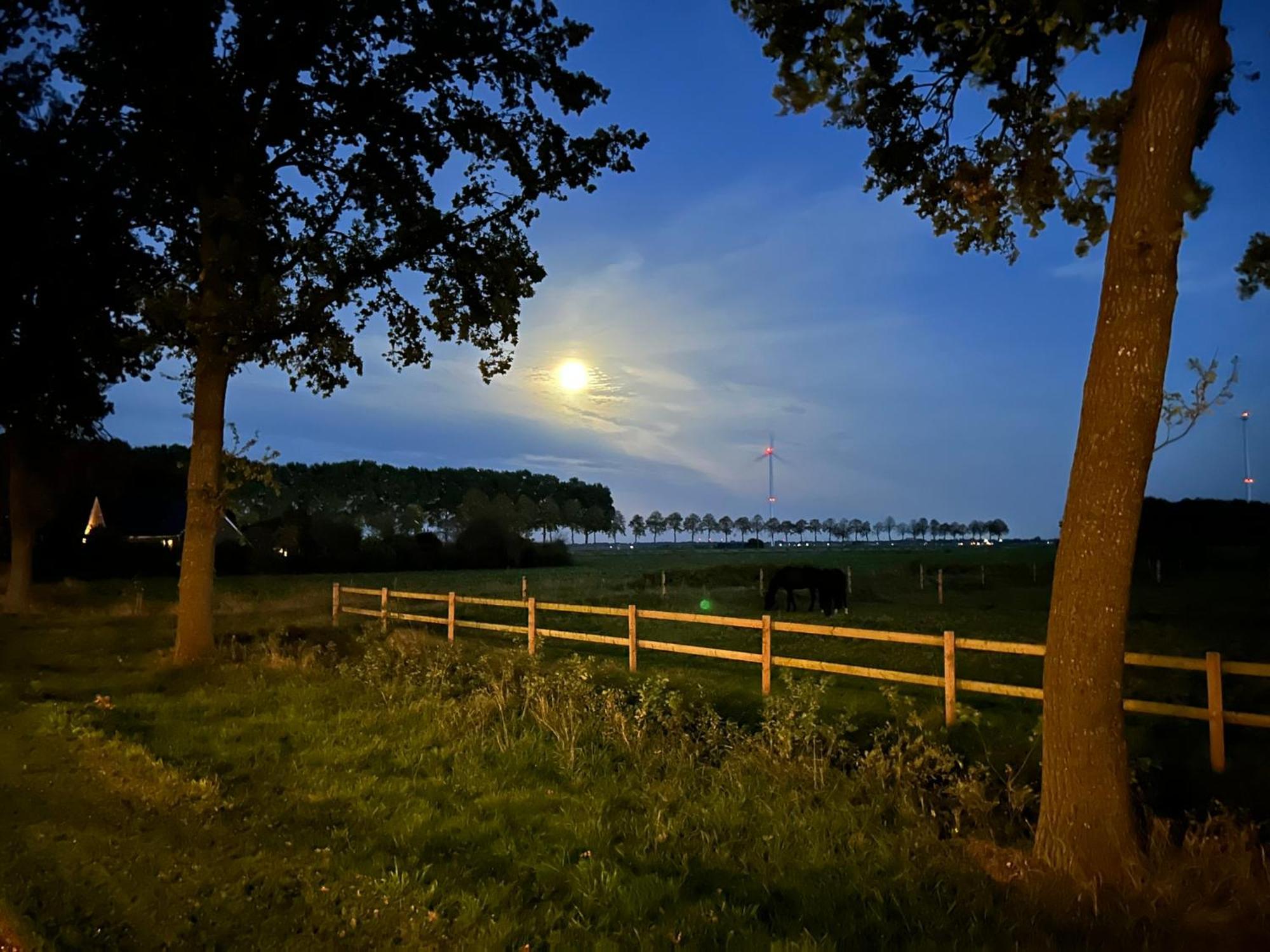 De Cordobahoeve Tweede Exloermond المظهر الخارجي الصورة
